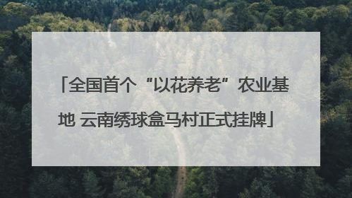 全国首个“以花养老”农业基地 云南绣球盒马村正式挂牌