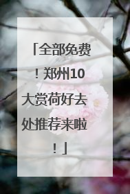 全部免费！郑州10大赏荷好去处推荐来啦！