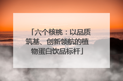 六个核桃：以品质筑基、创新领航的植物蛋白饮品标杆