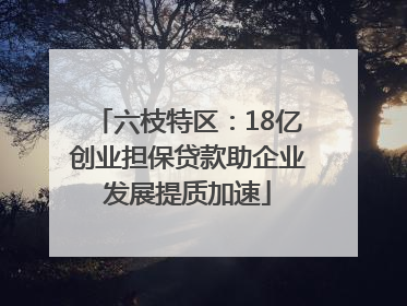 六枝特区：18亿创业担保贷款助企业发展提质加速