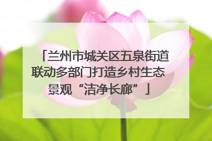 兰州市城关区五泉街道联动多部门打造乡村生态景观“洁净长廊”