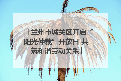 兰州市城关区开启“阳光仲裁”开放日 共筑和谐劳动关系
