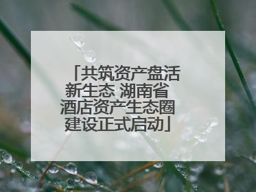 共筑资产盘活新生态 湖南省酒店资产生态圈建设正式启动