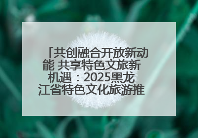 共创融合开放新动能 共享特色文旅新机遇：2025黑龙江省特色文化旅游推介会在抚远举行
