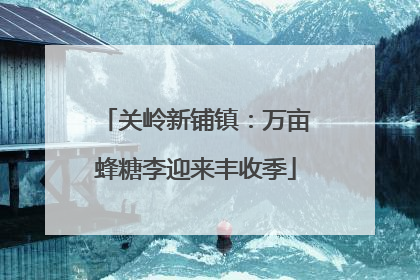 关岭新铺镇：万亩蜂糖李迎来丰收季