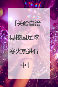 关岭自治县校园足球赛火热进行中