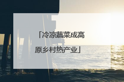 冷凉蔬菜成高原乡村热产业