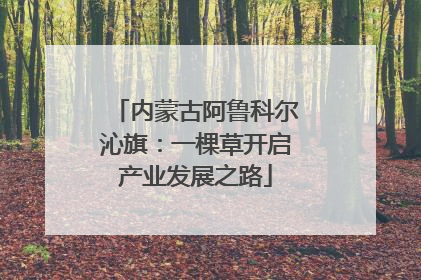 内蒙古阿鲁科尔沁旗：一棵草开启产业发展之路