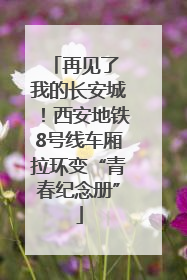 再见了 我的长安城！西安地铁8号线车厢拉环变“青春纪念册”