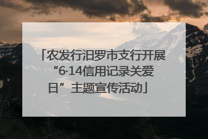 农发行汨罗市支行开展“6·14信用记录关爱日”主题宣传活动