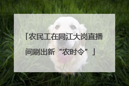 农民工在同江大岗直播间刷出新“农时令”