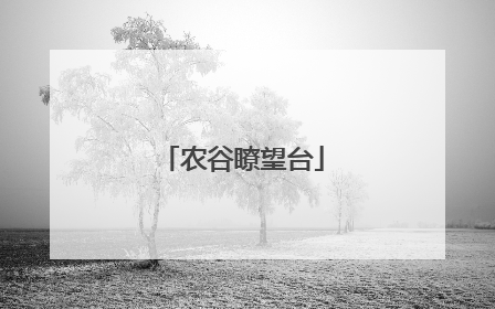 农谷瞭望台