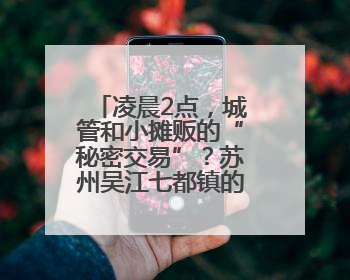 凌晨2点，城管和小摊贩的“秘密交易”？苏州吴江七都镇的“潮汐摊区”让城市管理有了人情味