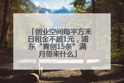 创业空间每平方米日租金不超1元，浦东“青创15条”满月带来什么