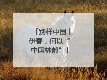 别样中国丨伊春，何以“中国林都”