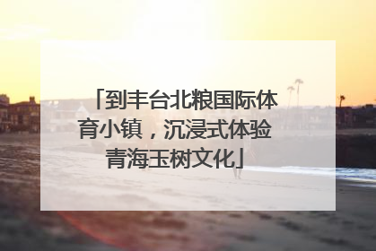 到丰台北粮国际体育小镇，沉浸式体验青海玉树文化