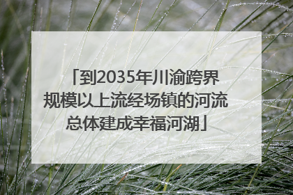 到2035年川渝跨界规模以上流经场镇的河流总体建成幸福河湖