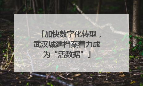 加快数字化转型，武汉城建档案着力成为“活数据”