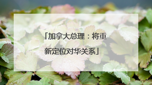 加拿大总理：将重新定位对华关系
