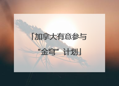 加拿大有意参与“金穹”计划
