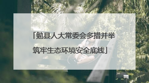 勉县人大常委会多措并举筑牢生态环境安全底线
