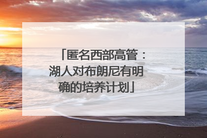 匿名西部高管：湖人对布朗尼有明确的培养计划