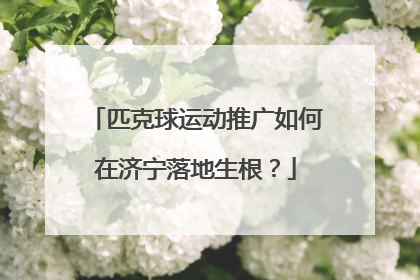 匹克球运动推广如何在济宁落地生根？