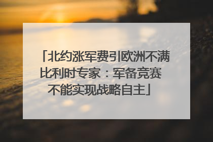 北约涨军费引欧洲不满 比利时专家：军备竞赛不能实现战略自主