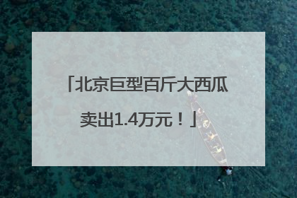 北京巨型百斤大西瓜卖出1.4万元！