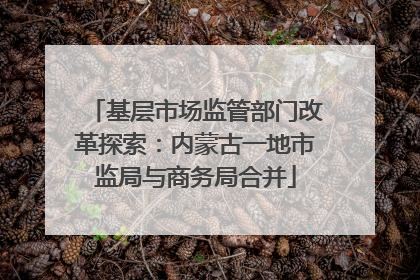 基层市场监管部门改革探索：内蒙古一地市监局与商务局合并