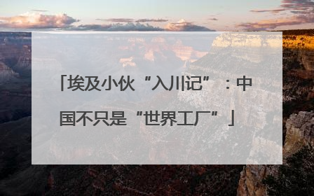 埃及小伙“入川记”：中国不只是“世界工厂”