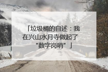 垃圾桶的自述：我在兴山水月寺做起了“数字岗哨”