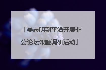 吴志明到平潭开展非公论坛课题调研活动