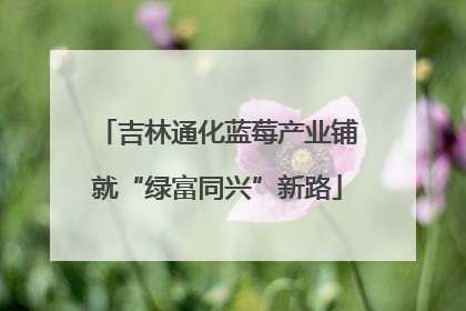 吉林通化蓝莓产业铺就“绿富同兴”新路