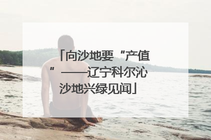 向沙地要“产值”——辽宁科尔沁沙地兴绿见闻