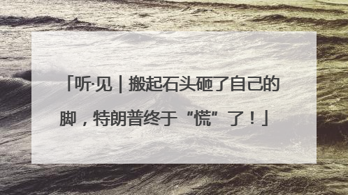 听·见｜搬起石头砸了自己的脚，特朗普终于“慌”了！