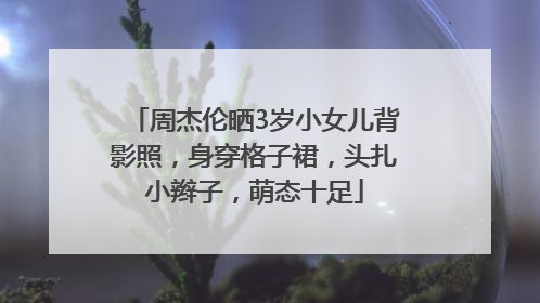 周杰伦晒3岁小女儿背影照，身穿格子裙，头扎小辫子，萌态十足