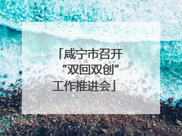 咸宁市召开“双回双创”工作推进会
