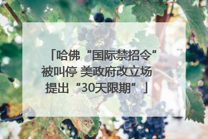 哈佛“国际禁招令”被叫停 美政府改立场提出“30天限期”