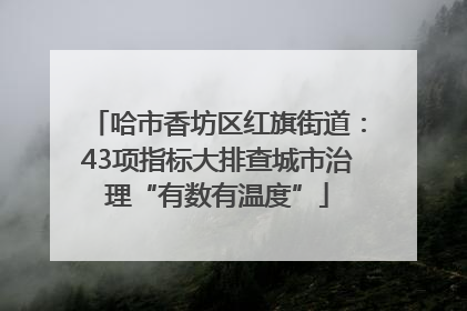 哈市香坊区红旗街道：43项指标大排查城市治理“有数有温度”