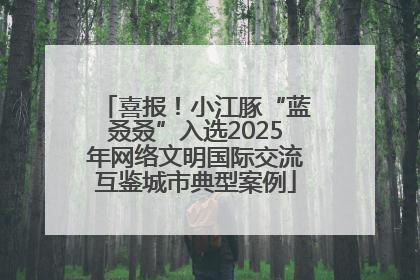 喜报！小江豚“蓝叒叒”入选2025年网络文明国际交流互鉴城市典型案例