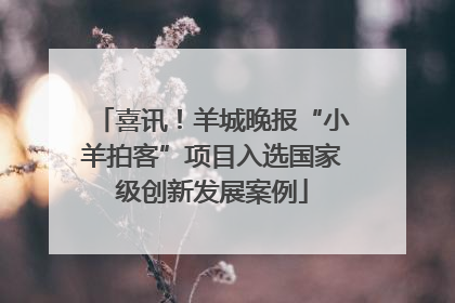 喜讯！羊城晚报“小羊拍客”项目入选国家级创新发展案例