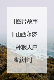 图片故事丨山西永济：种粮大户收获忙