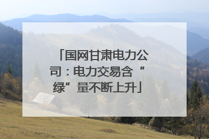 国网甘肃电力公司：电力交易含“绿”量不断上升