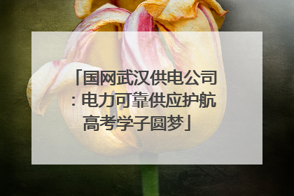 国网武汉供电公司：电力可靠供应护航高考学子圆梦