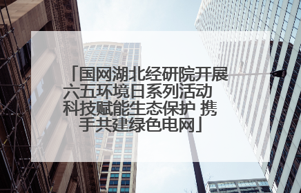 国网湖北经研院开展六五环境日系列活动 科技赋能生态保护 携手共建绿色电网