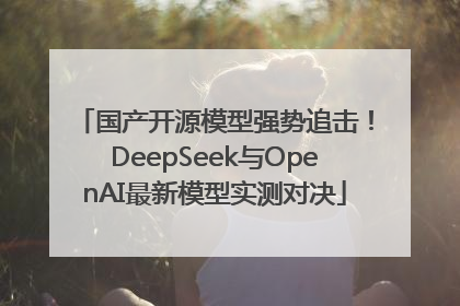国产开源模型强势追击！DeepSeek与OpenAI最新模型实测对决