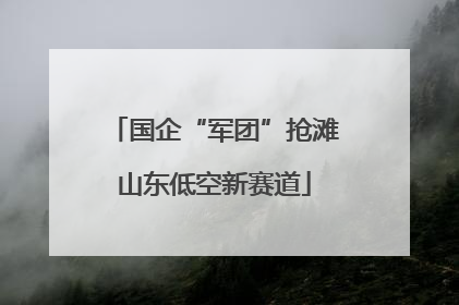 国企“军团”抢滩山东低空新赛道