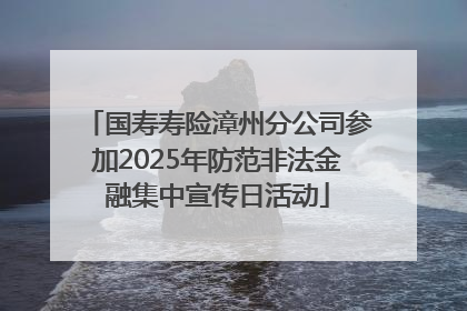 国寿寿险漳州分公司参加2025年防范非法金融集中宣传日活动