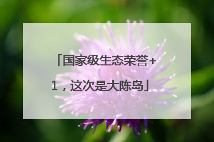 国家级生态荣誉+1，这次是大陈岛